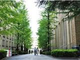 青山学院大学(Aoyama Gakuin University)